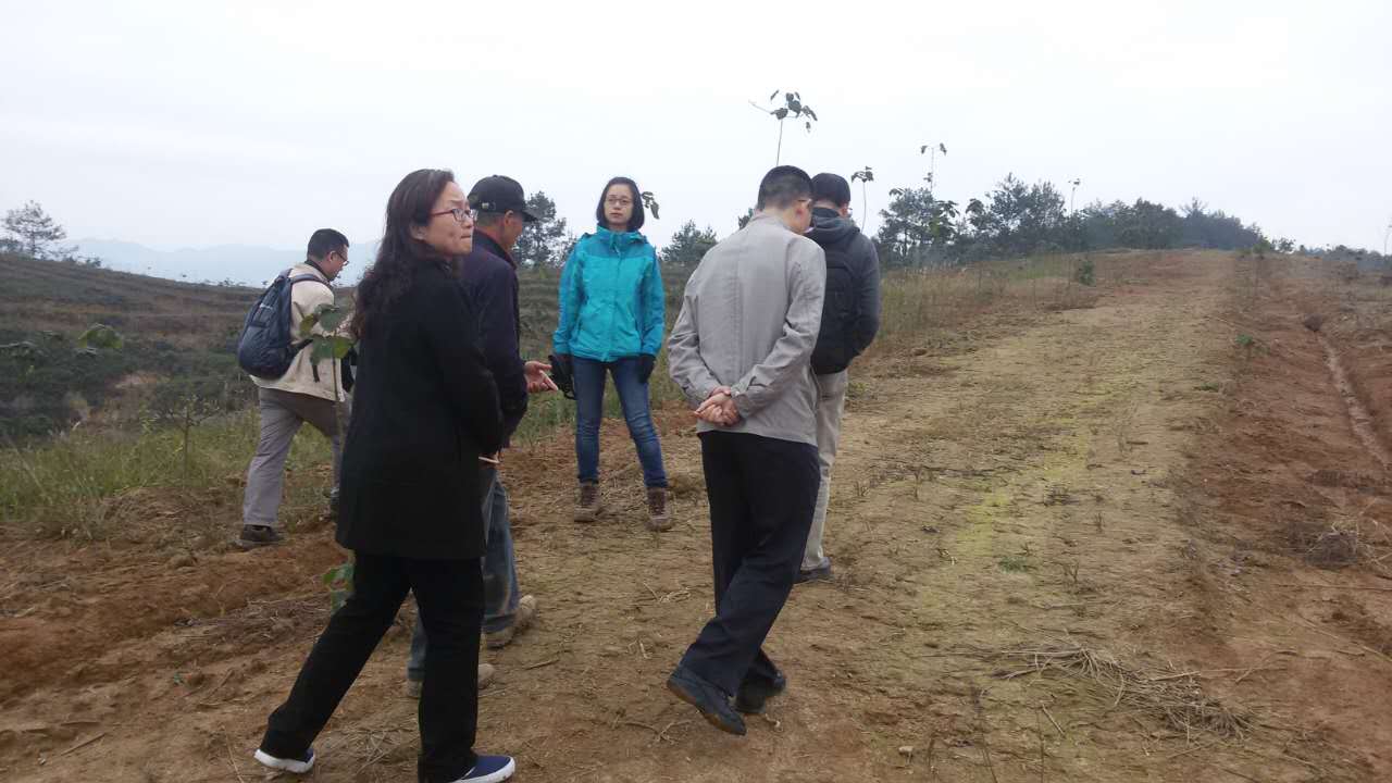 调研种植育苗基地.jpg