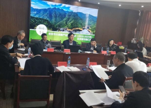 吉安大健康产业发展规划专家咨询会